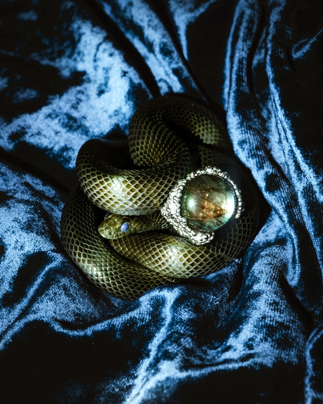 Ylang Ravel  Dirty Caviar 