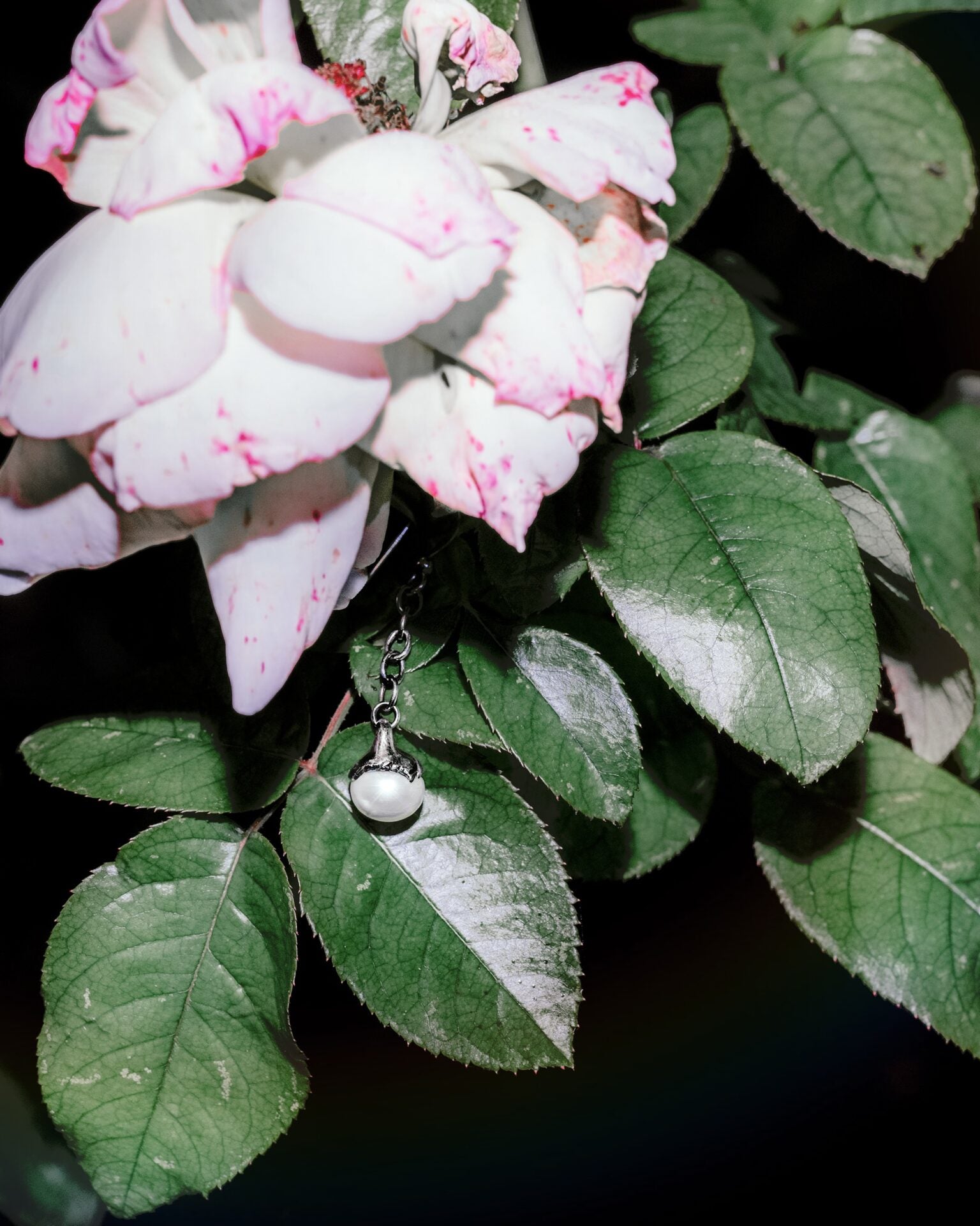 Ylang Ravel  Pendant pearl 