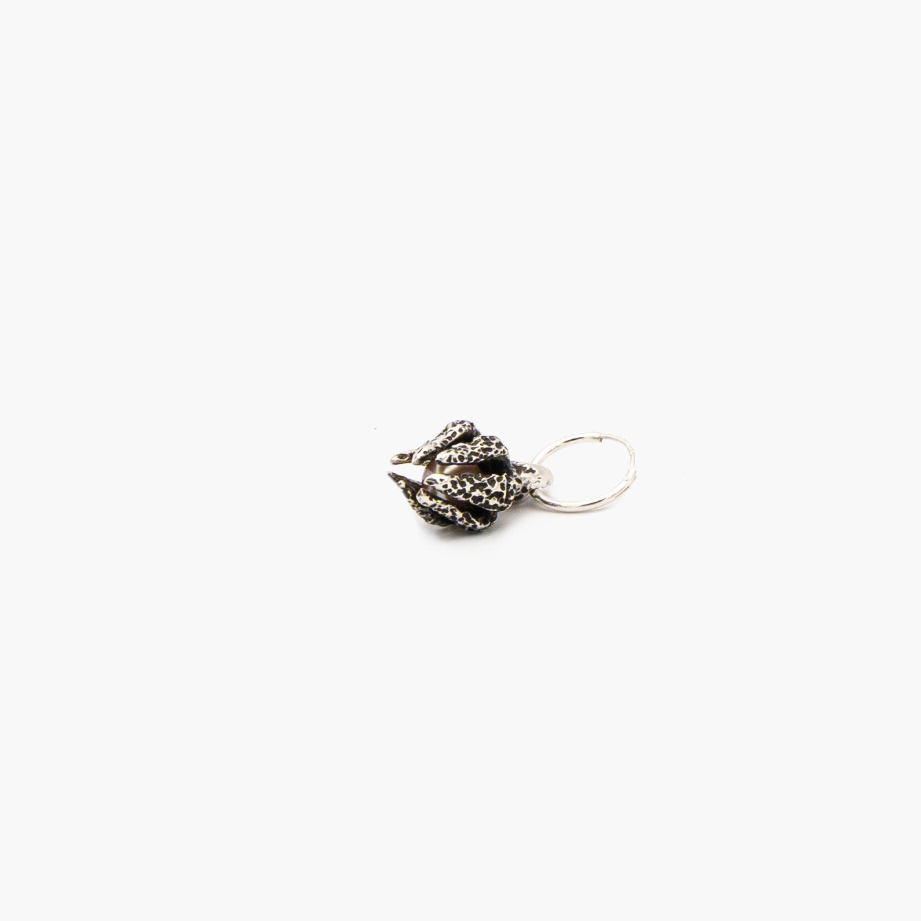 Ylang Ravel  Octopus 